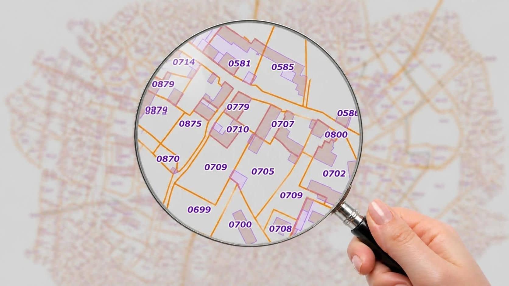 Cadastre